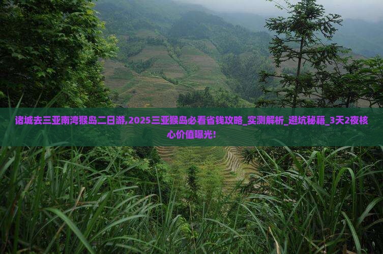 诸城去三亚南湾猴岛二日游