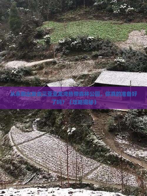 永新出发三亚亚龙湾热带森林公园团体旅游