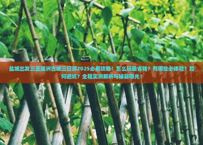 盐城出发三亚崖洲古城三日游
