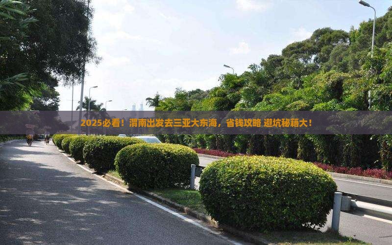 渭南出发三亚大东海门票