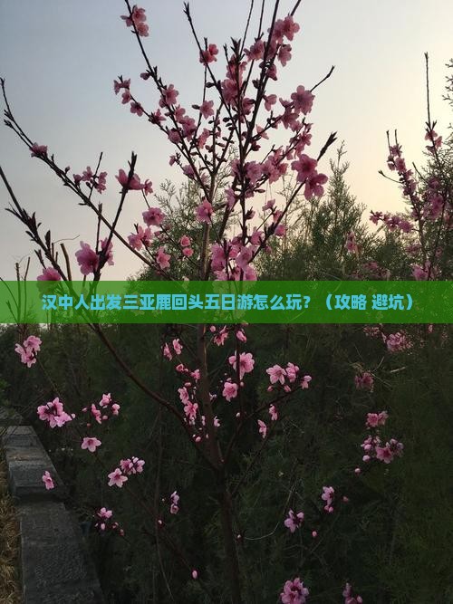汉中出发三亚鹿回头五日游