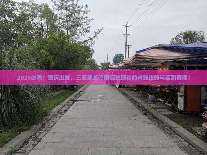肇庆前往三亚亚龙湾国际玫瑰谷旅游