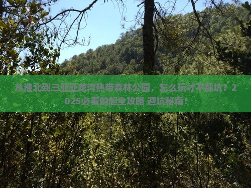 淮北去三亚亚龙湾热带森林公园攻略
