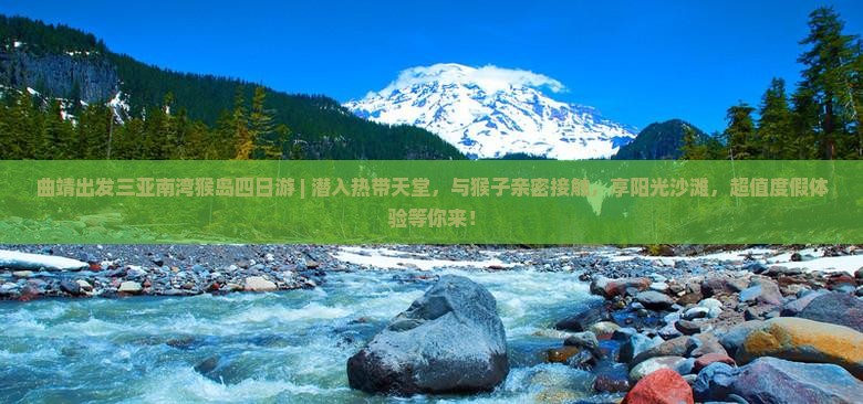曲靖出发三亚南湾猴岛四日游
