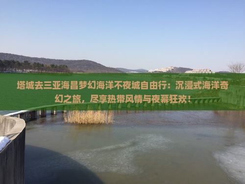 塔城去三亚海昌梦幻海洋不夜城自由行