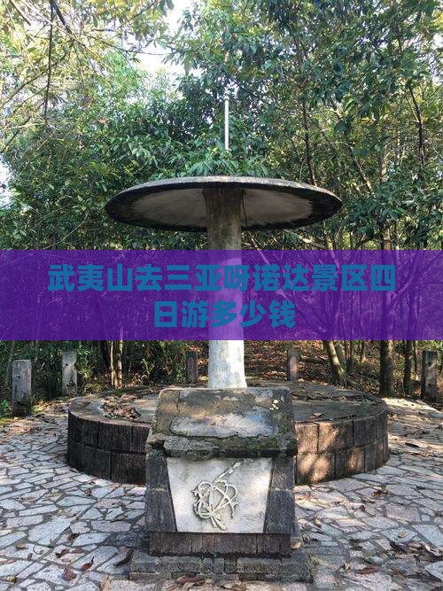 武夷山去三亚呀诺达景区四日游