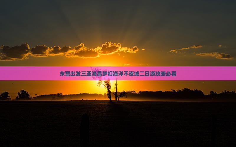 东营去三亚海昌梦幻海洋不夜城二日游