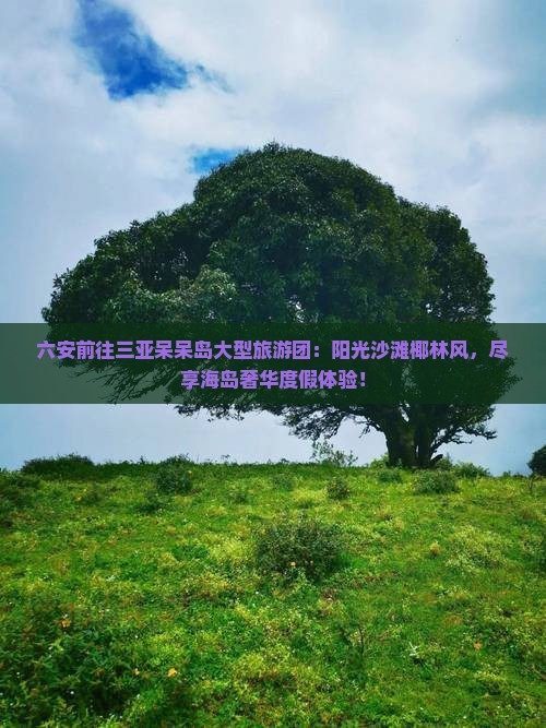 六安前往三亚呆呆岛大型旅游团