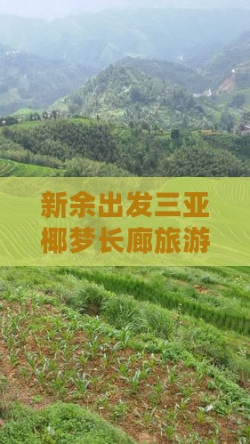 新余出发三亚椰梦长廊自由行
