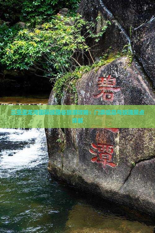 湖州前往三亚亚龙湾国际玫瑰谷哪里玩