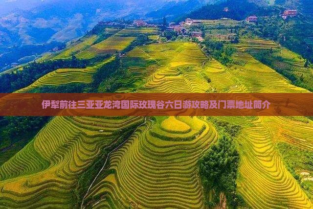 伊犁前往三亚亚龙湾国际玫瑰谷六日游
