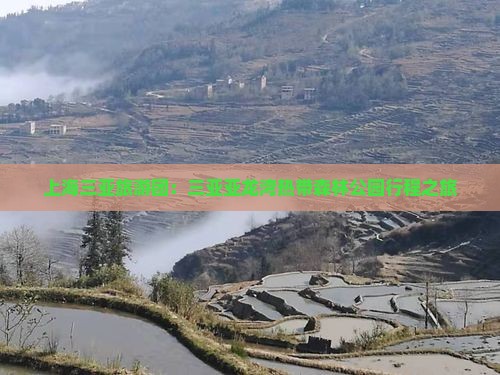上海前往三亚亚龙湾热带森林公园大型旅游团