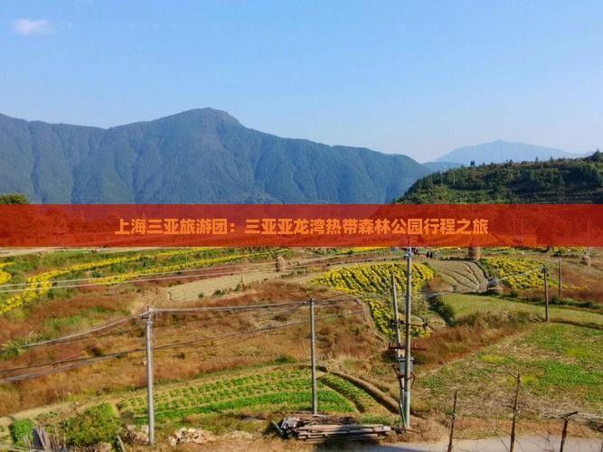 上海前往三亚亚龙湾热带森林公园大型旅游团