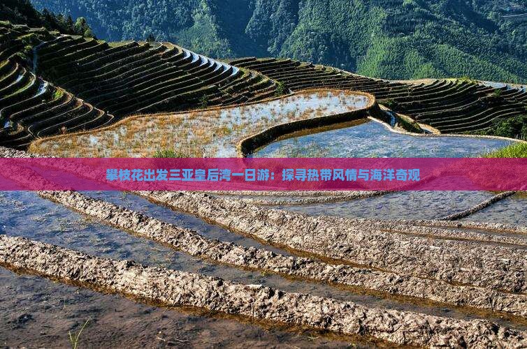 攀枝花出发三亚皇后湾一日游：探寻热带风情与海洋奇观
