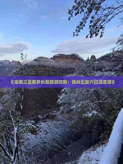 《海南三亚椰梦长廊旅游攻略：铁岭出发六日深度游》
