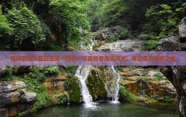 临猗前往三亚三亚湾一日游：探索热带海滨风光，体验椰风海韵之旅