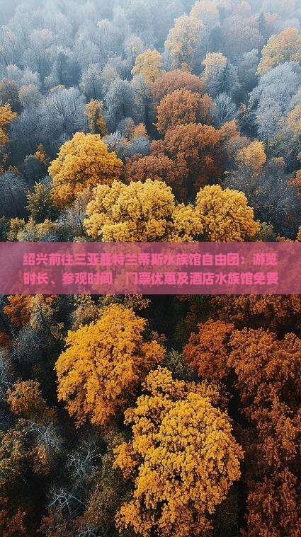 绍兴前往三亚亚特兰蒂斯水族馆自由团：游览时长、参观时间、门票优惠及酒店水族馆免费政策