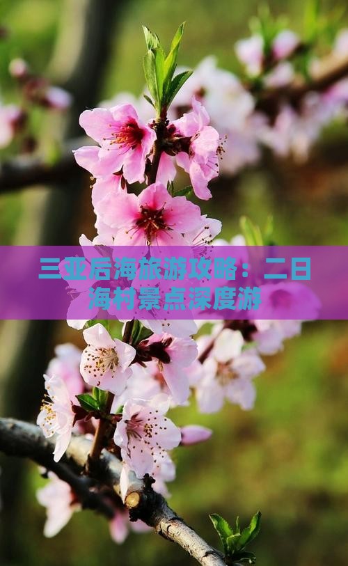 三亚后海旅游攻略：二日海村景点深度游