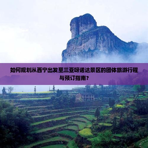 如何规划从西宁出发至三亚呀诺达景区的团体旅游行程与预订指南？