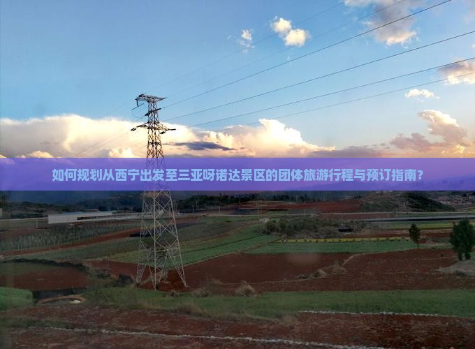 如何规划从西宁出发至三亚呀诺达景区的团体旅游行程与预订指南？