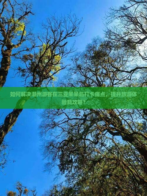 如何解决潮州游客在三亚呆呆岛打卡痛点，提升旅游体验新攻略？