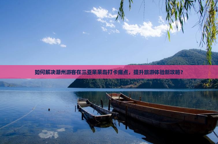 如何解决潮州游客在三亚呆呆岛打卡痛点，提升旅游体验新攻略？