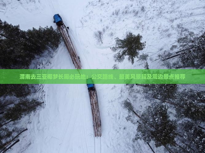渭南去三亚椰梦长廊必玩地：公交路线、最美风景段及周边景点推荐