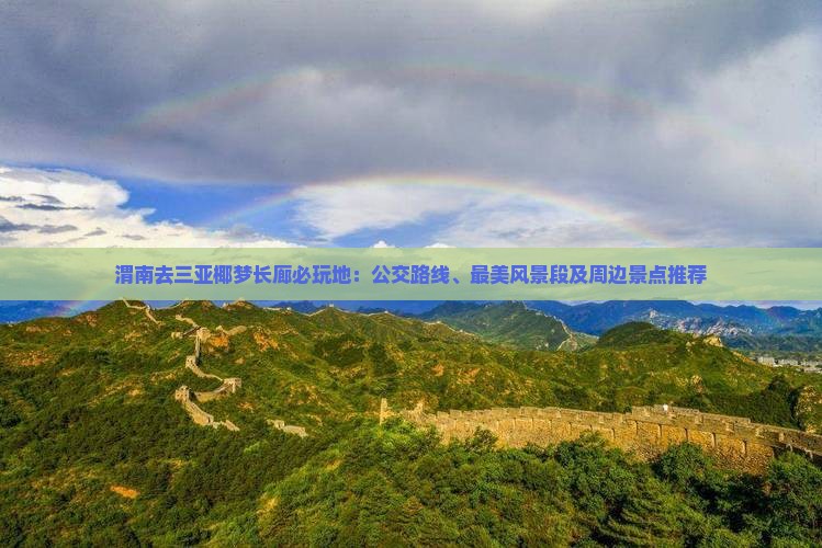 渭南去三亚椰梦长廊必玩地：公交路线、最美风景段及周边景点推荐