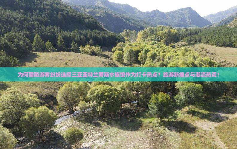 为何醴陵游客纷纷选择三亚亚特兰蒂斯水族馆作为打卡热点？旅游新痛点与潮流热词！