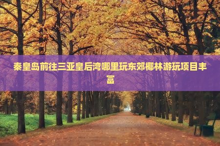 秦皇岛前往三亚皇后湾哪里玩东郊椰林游玩项目丰富