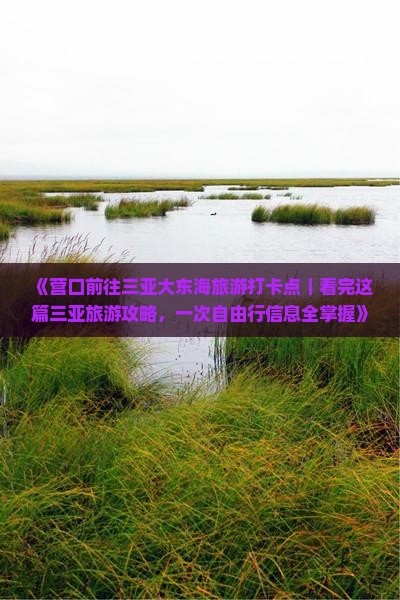 《营口前往三亚大东海旅游打卡点｜看完这篇三亚旅游攻略，一次自由行信息全掌握》