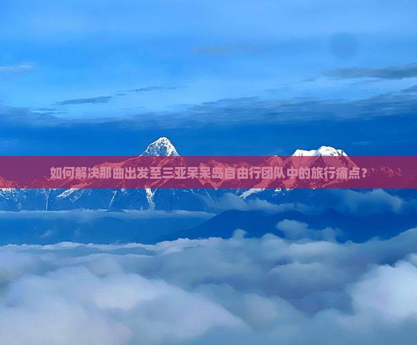 如何解决那曲出发至三亚呆呆岛自由行团队中的旅行痛点？