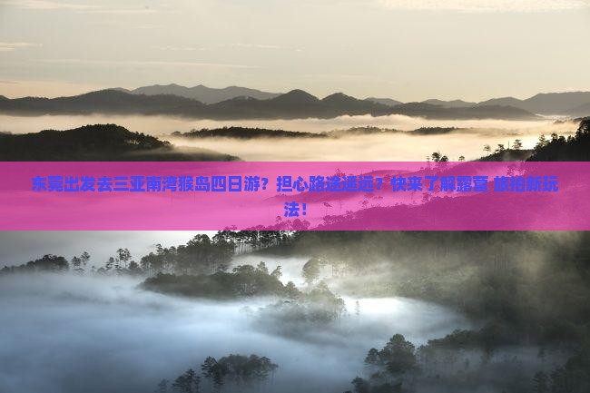 东莞出发去三亚南湾猴岛四日游？担心路途遥远？快来了解露营+旅拍新玩法！