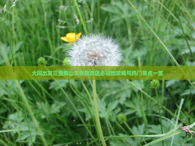 大同出发三亚南山文化旅游区必玩地攻略与热门景点一览