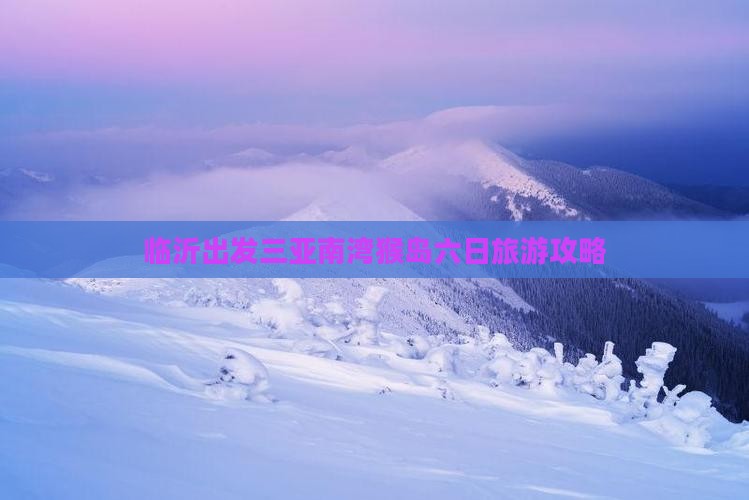 临沂出发三亚南湾猴岛六日旅游攻略
