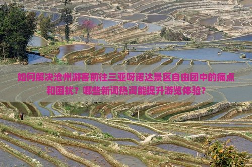如何解决沧州游客前往三亚呀诺达景区自由团中的痛点和困扰？哪些新词热词能提升游览体验？