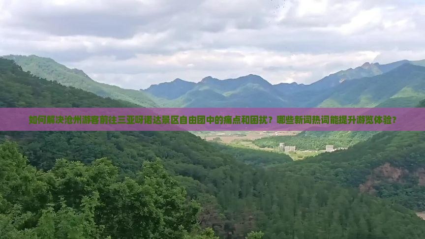 如何解决沧州游客前往三亚呀诺达景区自由团中的痛点和困扰？哪些新词热词能提升游览体验？
