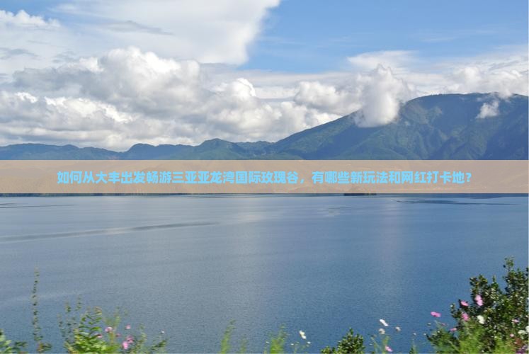 如何从大丰出发畅游三亚亚龙湾国际玫瑰谷，有哪些新玩法和网红打卡地？