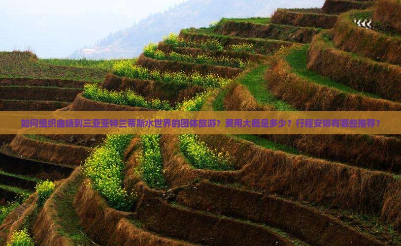 如何组织曲靖到三亚亚特兰蒂斯水世界的团体旅游？费用大概是多少？行程安排有哪些推荐？