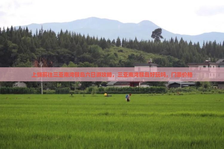 上饶前往三亚南湾猴岛六日游攻略，三亚南湾猴岛好玩吗，门票价格