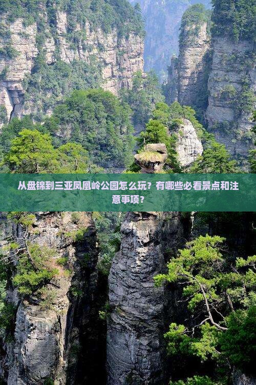 从盘锦到三亚凤凰岭公园怎么玩？有哪些必看景点和注意事项？