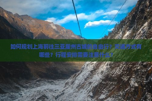 如何规划上海前往三亚崖州古城的自由行？交通方式有哪些？行程安排需要注意什么？