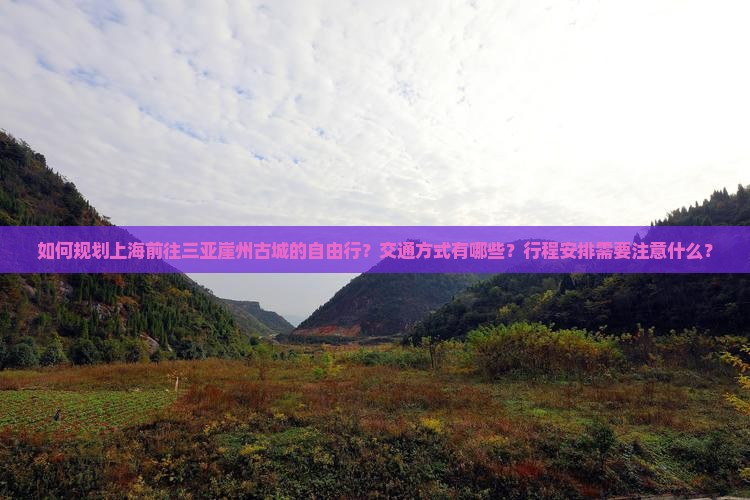 如何规划上海前往三亚崖州古城的自由行？交通方式有哪些？行程安排需要注意什么？