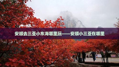 安顺去三亚小东海哪里玩——安顺小三亚在哪里