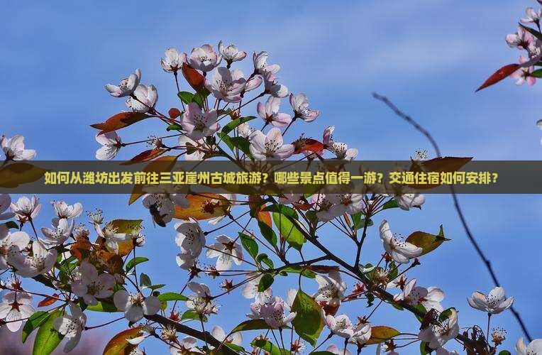 如何从潍坊出发前往三亚崖州古城旅游？哪些景点值得一游？交通住宿如何安排？