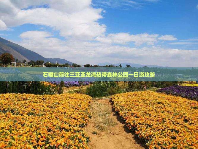 石嘴山前往三亚亚龙湾热带森林公园一日游攻略