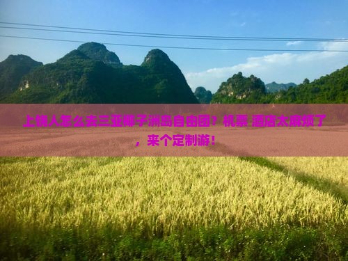 上饶人怎么去三亚椰子洲岛自由团？机票+酒店太麻烦了，来个定制游！