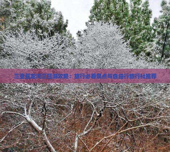 三亚亚龙湾三日游攻略：旅行必看景点与自由行旅行社推荐
