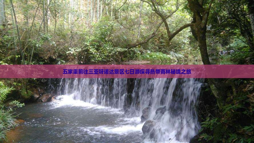 五家渠前往三亚呀诺达景区七日游探寻热带雨林秘境之旅