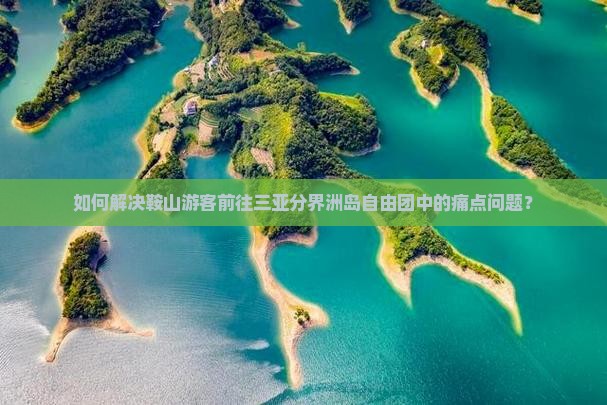 如何解决鞍山游客前往三亚分界洲岛自由团中的痛点问题？